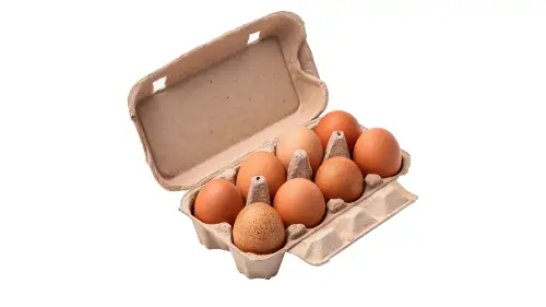 Click Here To Enlarge This Photo Of Product 1