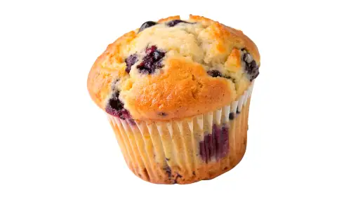 Click Here To Enlarge This Photo Of Muffin